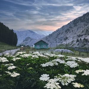 Preview wallpaper mountains, house, flowers, landscape, summer