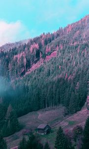 Preview wallpaper mountains, house, trees, forest, fog