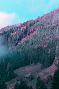 Preview wallpaper mountains, house, trees, forest, fog