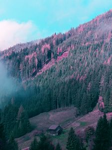 Preview wallpaper mountains, house, trees, forest, fog