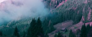 Preview wallpaper mountains, house, trees, forest, fog