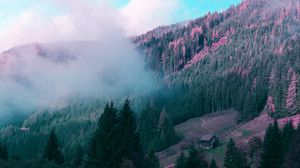 Preview wallpaper mountains, house, trees, forest, fog