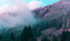 Preview wallpaper mountains, house, trees, forest, fog