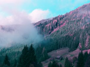 Preview wallpaper mountains, house, trees, forest, fog