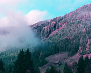 Preview wallpaper mountains, house, trees, forest, fog