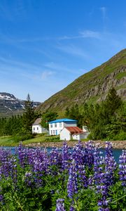 Preview wallpaper mountains, houses, river, lupins, landscape