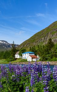 Preview wallpaper mountains, houses, river, lupins, landscape