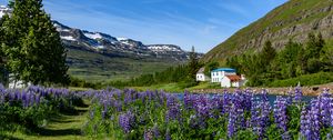 Preview wallpaper mountains, houses, river, lupins, landscape