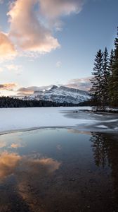 Preview wallpaper mountains, ice, forest, snowy