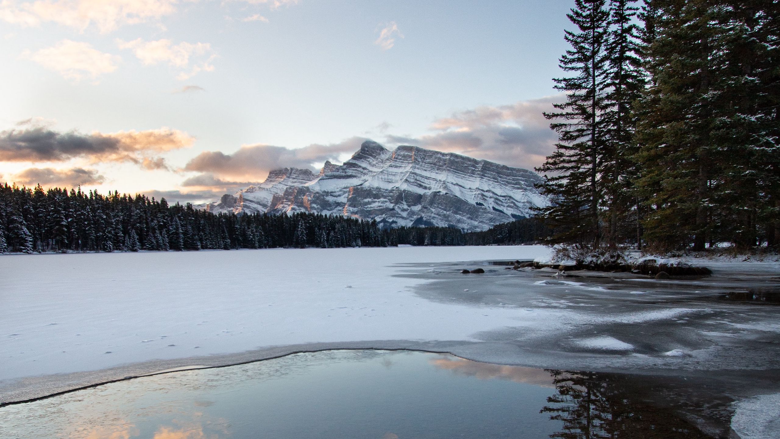 Download wallpaper 2560x1440 mountains, ice, forest, snowy widescreen