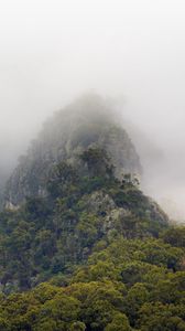 Preview wallpaper mountains, jungle, trees, fog