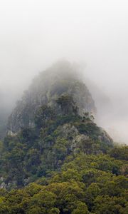 Preview wallpaper mountains, jungle, trees, fog