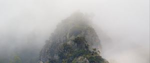 Preview wallpaper mountains, jungle, trees, fog