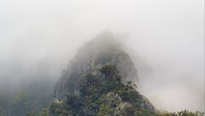 Preview wallpaper mountains, jungle, trees, fog