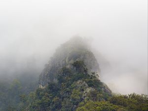 Preview wallpaper mountains, jungle, trees, fog