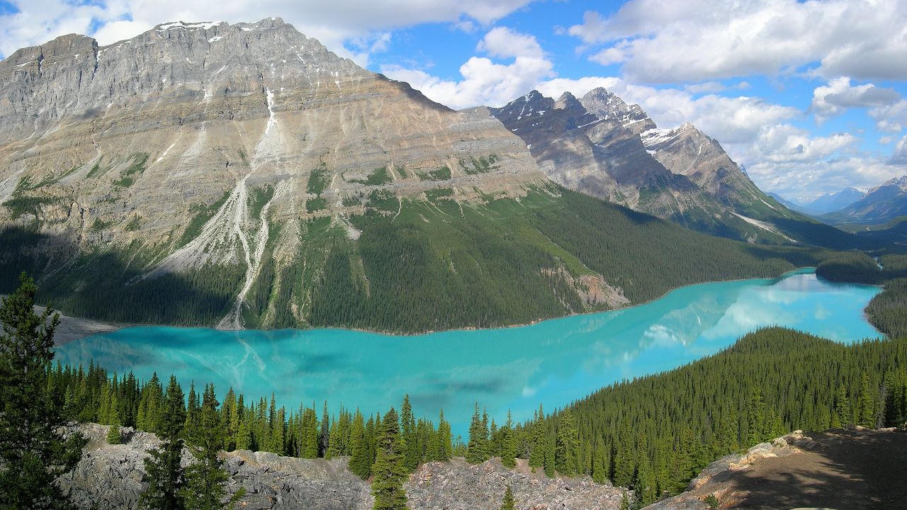 Wallpaper mountains, lake, blue water, wood, coniferous, purity, bottom