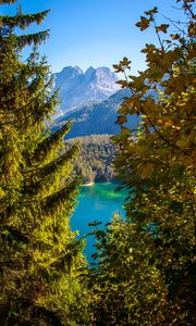 Preview wallpaper mountains, lake, branches, tyrol, austria