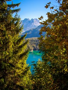 Preview wallpaper mountains, lake, branches, tyrol, austria