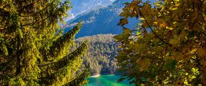 Preview wallpaper mountains, lake, branches, tyrol, austria