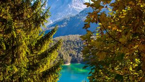 Preview wallpaper mountains, lake, branches, tyrol, austria