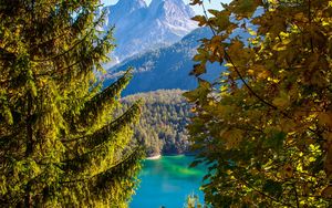 Preview wallpaper mountains, lake, branches, tyrol, austria