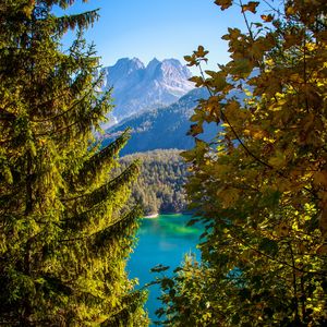 Preview wallpaper mountains, lake, branches, tyrol, austria