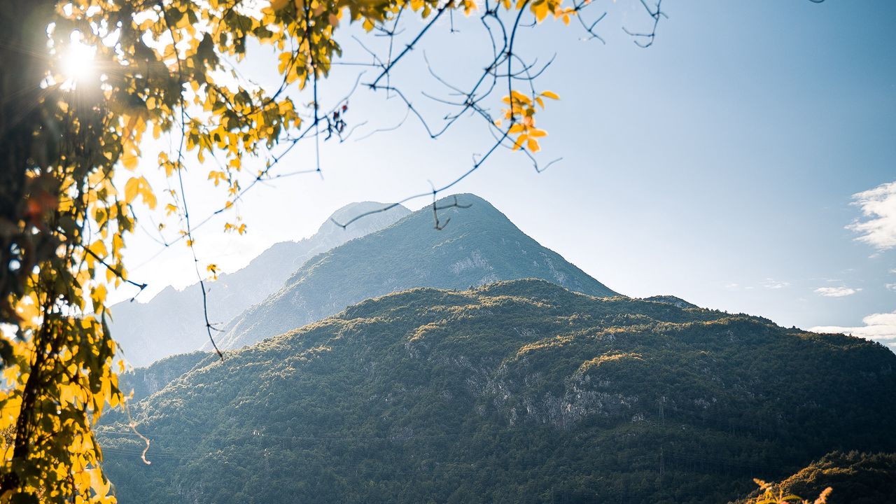 Wallpaper mountains, lake, branches, bushes