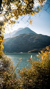 Preview wallpaper mountains, lake, branches, bushes
