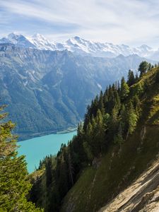 Preview wallpaper mountains, lake, branches, slope, spruce