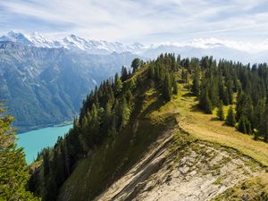 Preview wallpaper mountains, lake, branches, slope, spruce