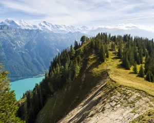 Preview wallpaper mountains, lake, branches, slope, spruce