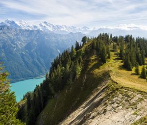 Preview wallpaper mountains, lake, branches, slope, spruce