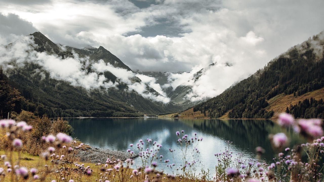 Wallpaper mountains, lake, clouds, wildflowers, sky