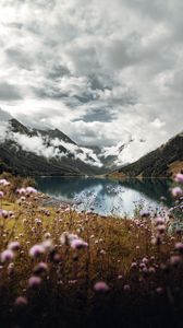 Preview wallpaper mountains, lake, clouds, wildflowers, sky
