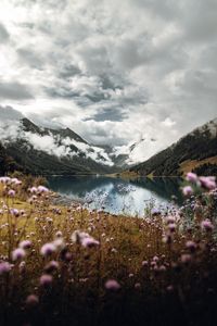 Preview wallpaper mountains, lake, clouds, wildflowers, sky