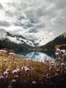 Preview wallpaper mountains, lake, clouds, wildflowers, sky