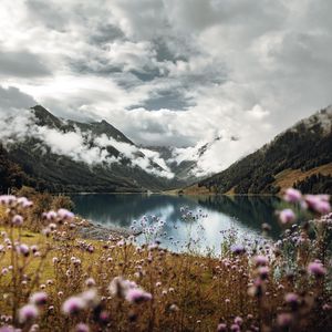 Preview wallpaper mountains, lake, clouds, wildflowers, sky