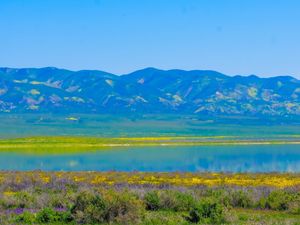 Preview wallpaper mountains, lake, flowers, valley, nature