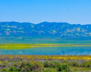 Preview wallpaper mountains, lake, flowers, valley, nature