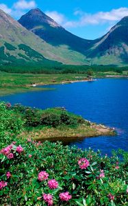 Preview wallpaper mountains, lake, flowers, slopes, greens, grass, summer