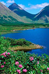 Preview wallpaper mountains, lake, flowers, slopes, greens, grass, summer