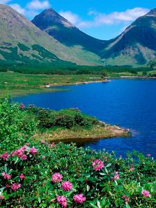 Preview wallpaper mountains, lake, flowers, slopes, greens, grass, summer