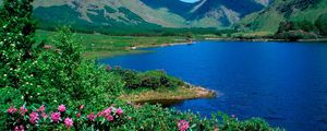 Preview wallpaper mountains, lake, flowers, slopes, greens, grass, summer