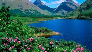 Preview wallpaper mountains, lake, flowers, slopes, greens, grass, summer