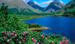 Preview wallpaper mountains, lake, flowers, slopes, greens, grass, summer