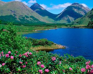 Preview wallpaper mountains, lake, flowers, slopes, greens, grass, summer