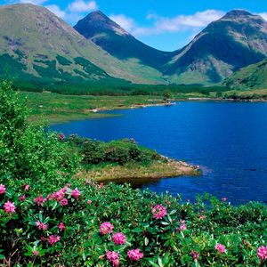 Preview wallpaper mountains, lake, flowers, slopes, greens, grass, summer