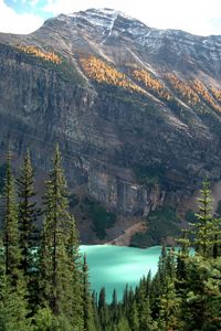 Preview wallpaper mountains, lake, forest, landscape, nature, peak