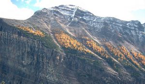 Preview wallpaper mountains, lake, forest, landscape, nature, peak