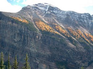 Preview wallpaper mountains, lake, forest, landscape, nature, peak